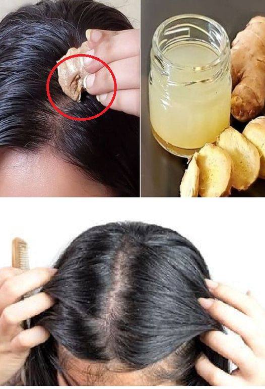 How to Use Ginger to Stop Hair Loss and Recover Them Fast