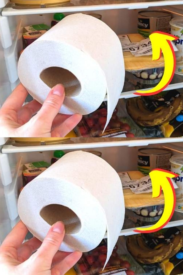 Put a whole roll of toilet paper in the fridge (and watch the result).