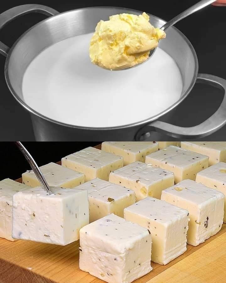 Homemade Cheese Recipe