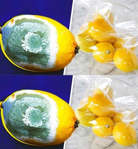 “How to Store Lemons Longer to Prevent Them from Spoiling? 4 Simple Tricks