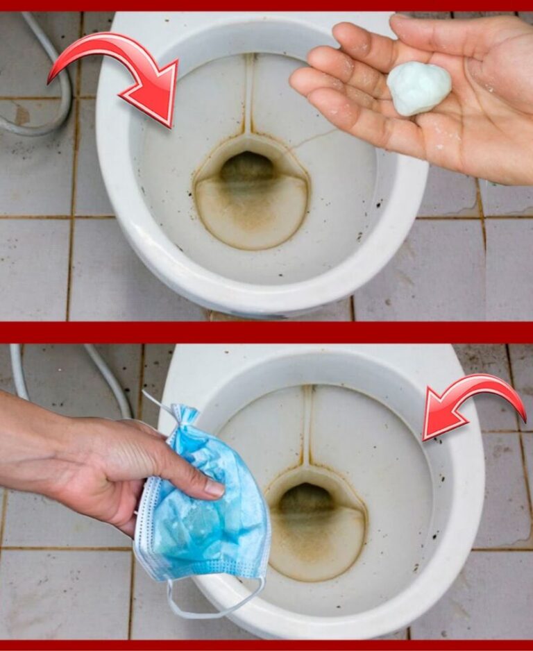 The cool trick to clean toilets and let them shine