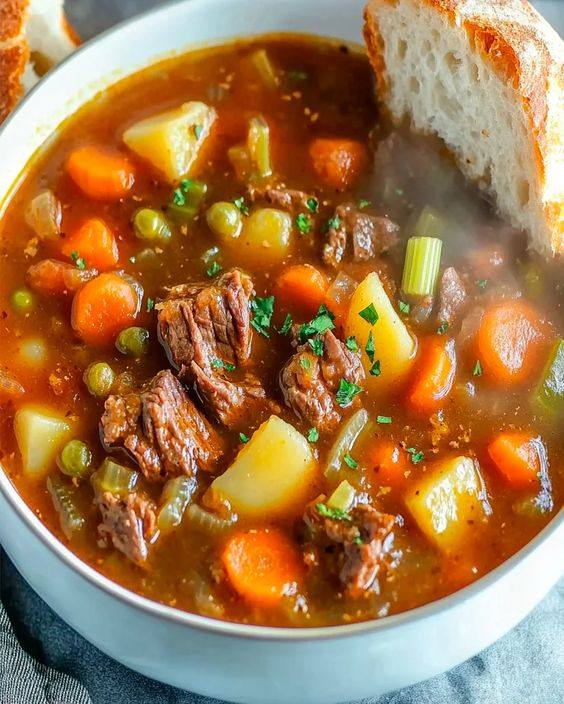 Vegetable Beef Soup