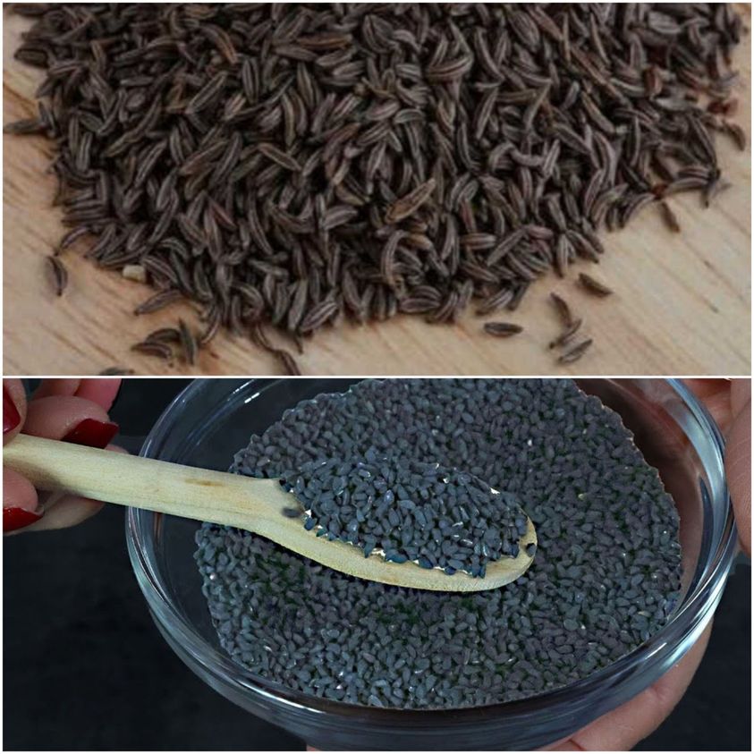 Unveiling the Healing Power of Nigella Sativa: A Miracle Seed for Various Ailments