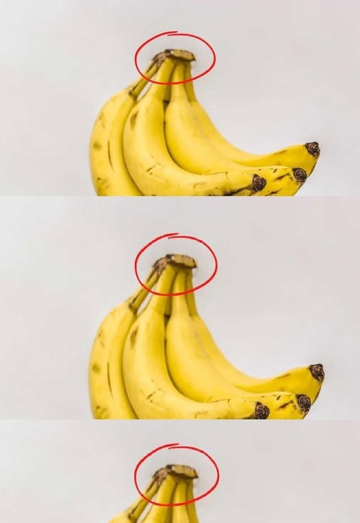 Never Throw This Part of the Banana Away: Here’s Why It’s Loved at Home