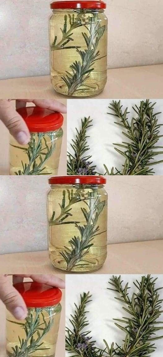 Mixing Rosemary with Cloves: A Secret No One Will Ever Tell You, Thank Me Later