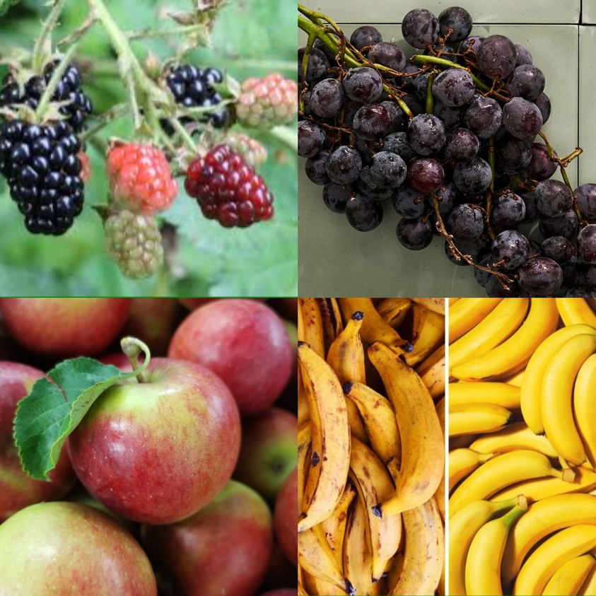 Harnessing Nature’s Healing Power: 8 Fruits That Fight Cancer