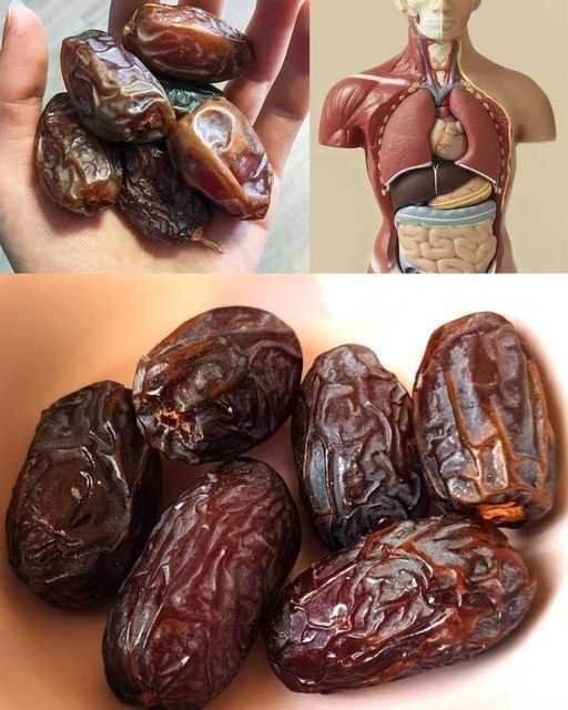 The Nutritional Powerhouse of Dates: Unlocking Their Rich Nutrient Profile