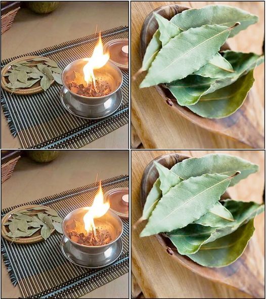 Unveil the Benefits of Burning a Bay Leaf Every Night