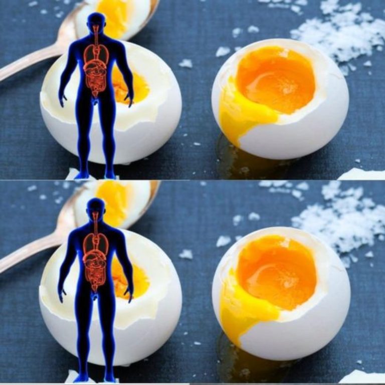 7 benefits of eating 3 eggs a day!!