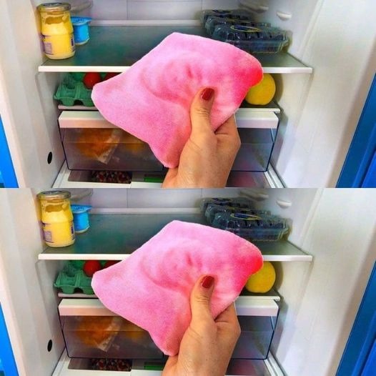 Why should you keep rags in the fridge? This unexpected solution will make your life easier!