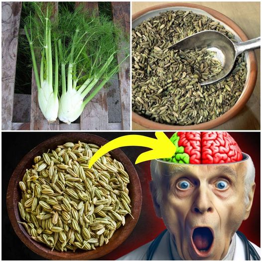 The Hidden Health Boost of Fennel Seeds: Small Seeds, Big Benefits