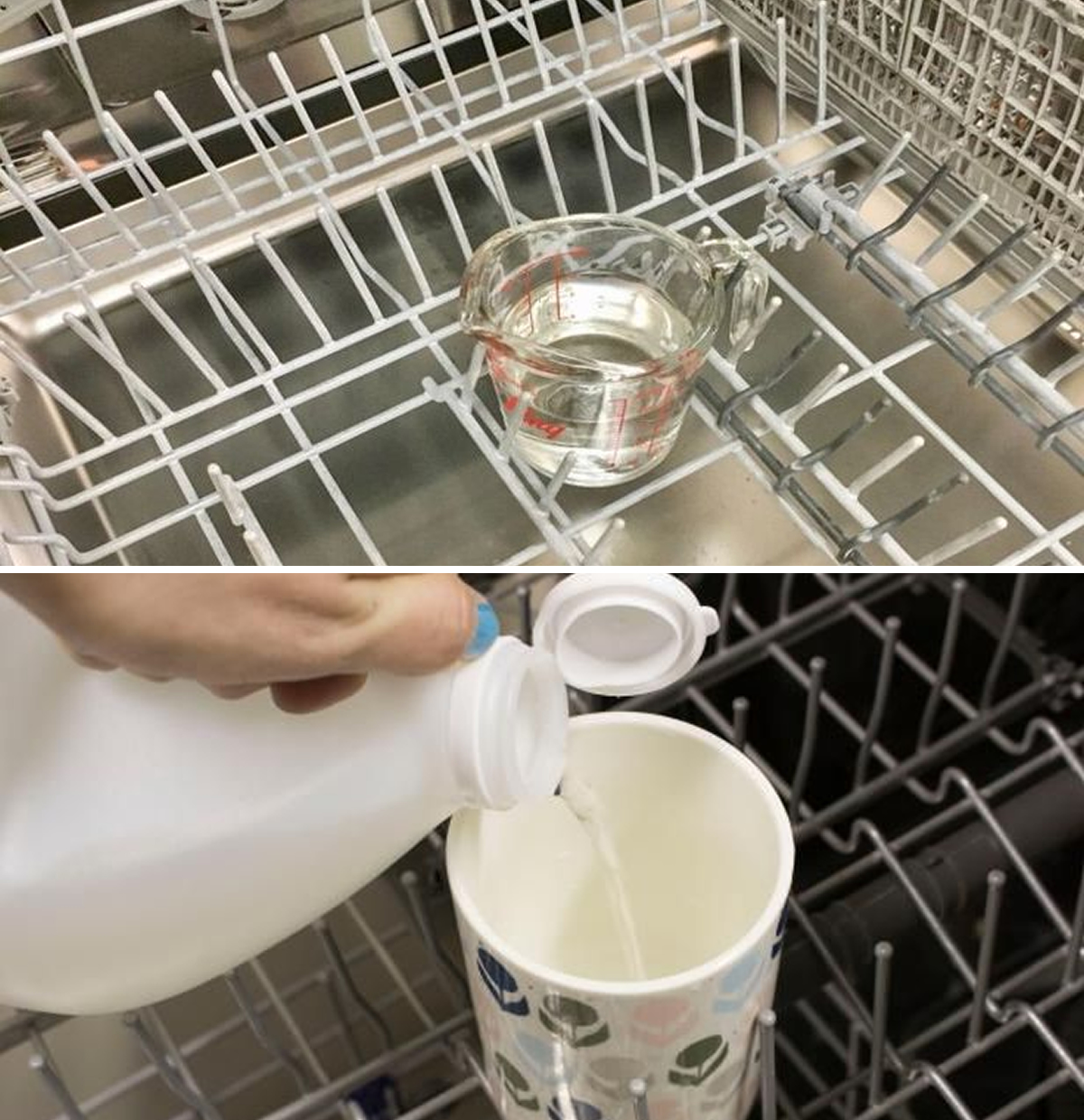 How to degrease, disinfect and perfume the dishwasher with the glass method