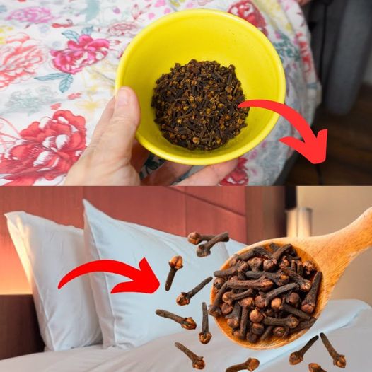 The Unexpected Benefits of Keeping Cloves Under Your Bed