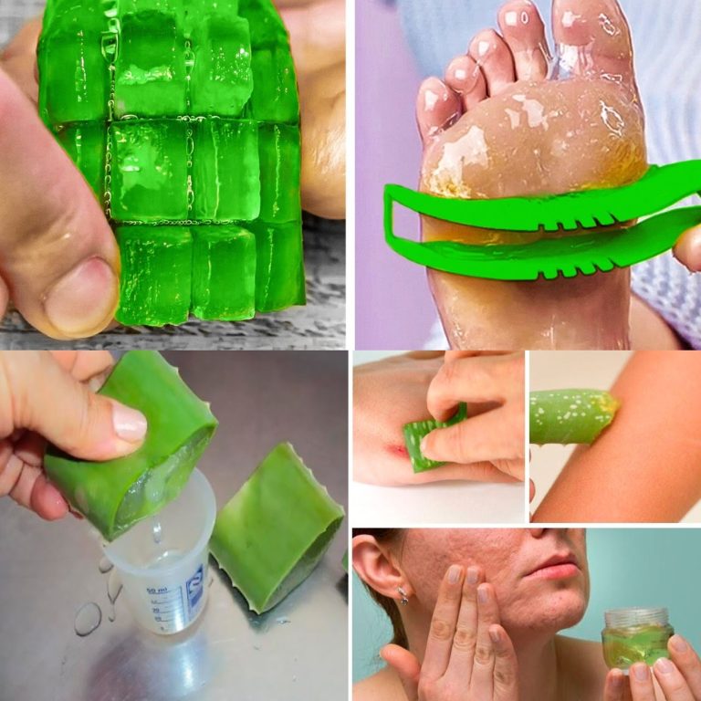 Amazing Uses of Aloe Vera and Natural Beauty Tips You Must Know