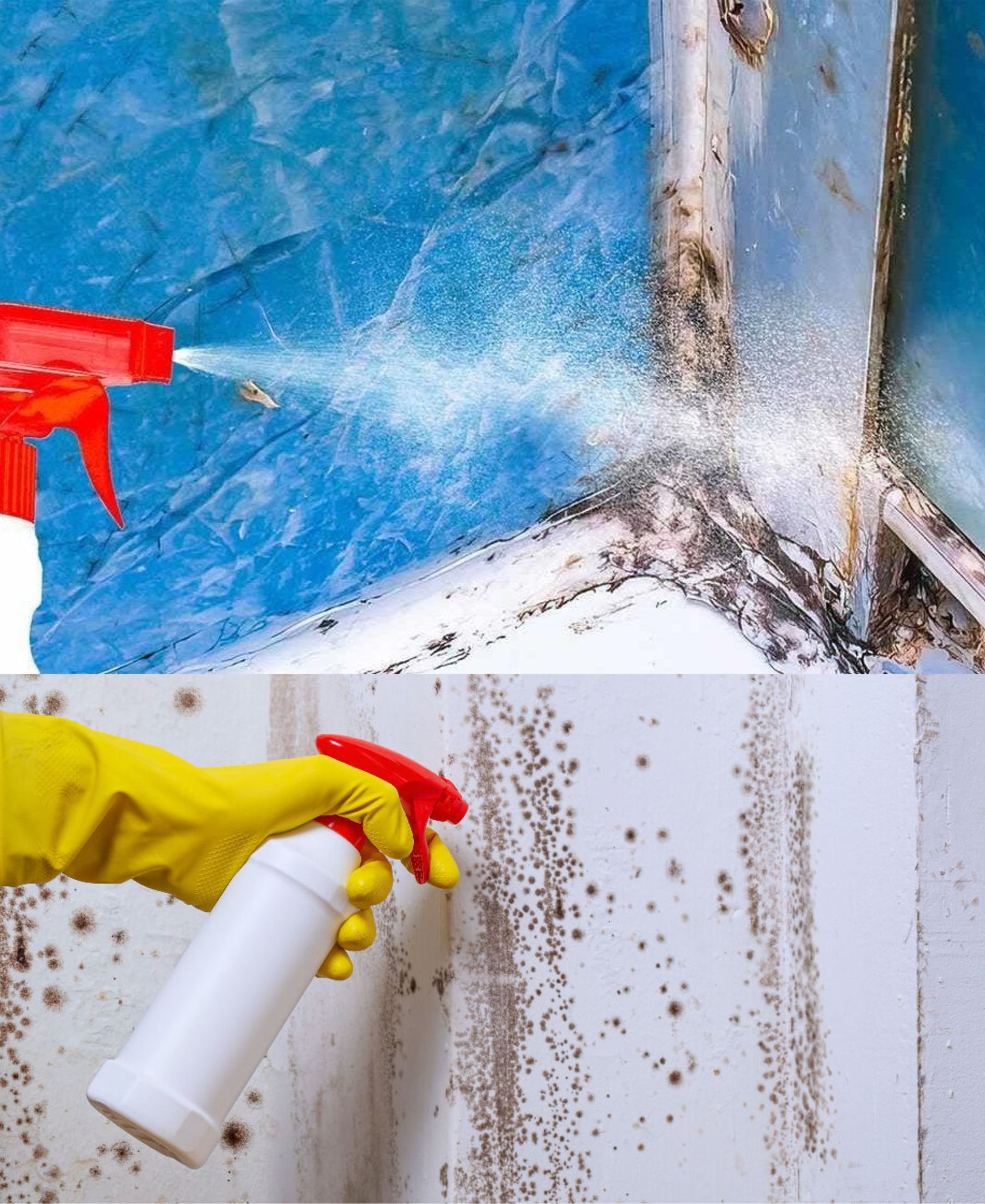 Mold in the bathroom: how to get rid of it quickly and easily!