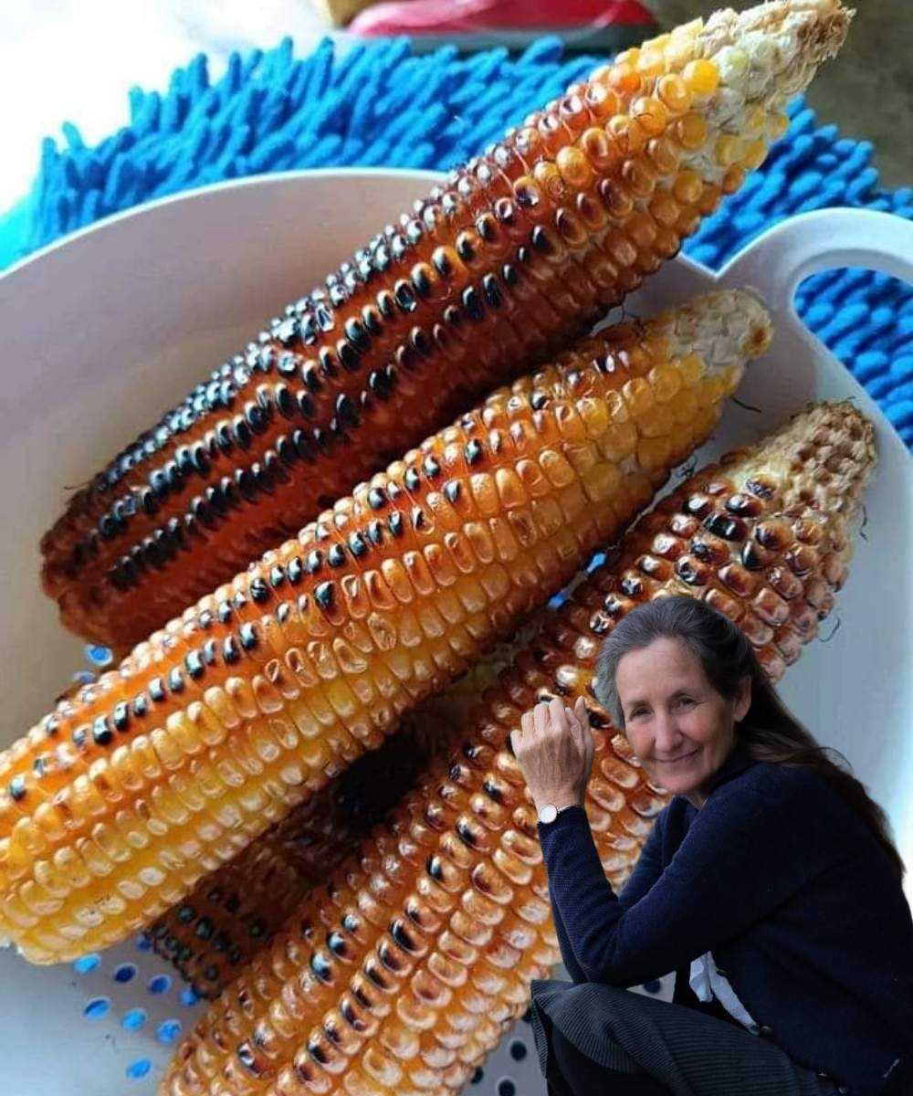 11 Important Facts You Should Know Before Eating Grilled Corn