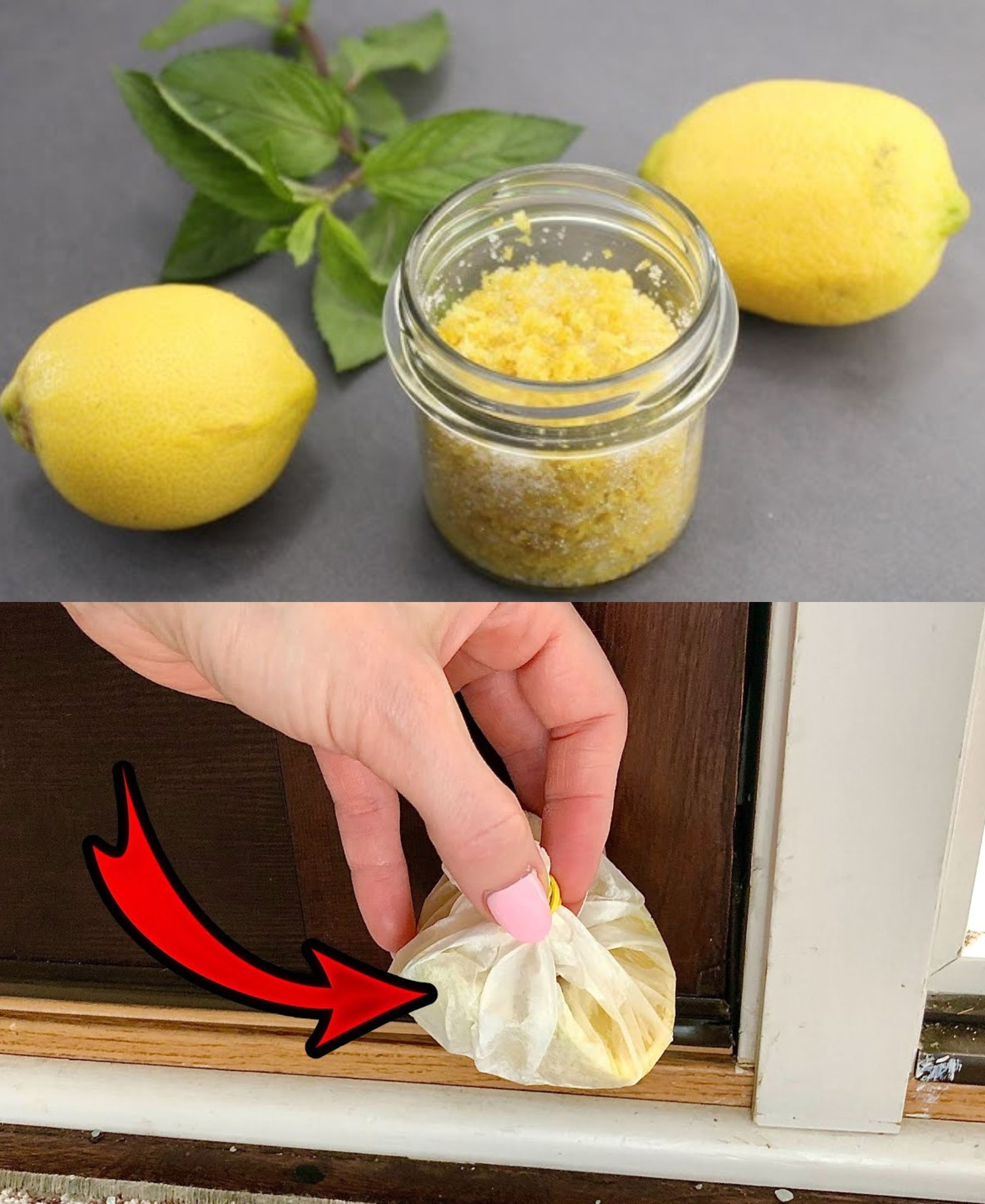 Lemon peels on the windowsill: solve a common problem in the house