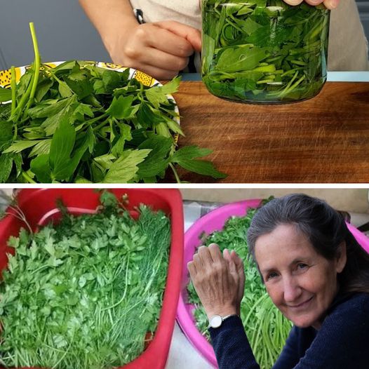 A Chef’s Secret – How to Keep Parsley Fresh and Vibrant for Months