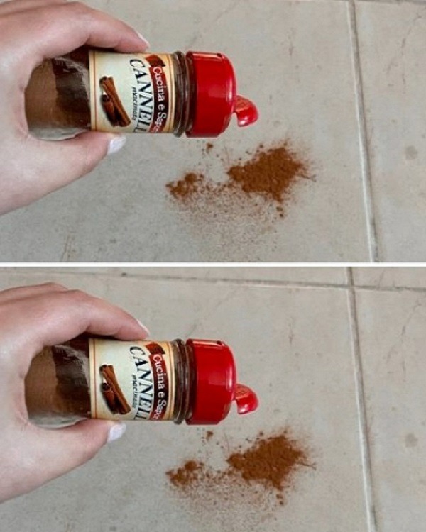 Time-Tested Tip: Sprinkle Cinnamon on Your Floor for Surprising Benefits