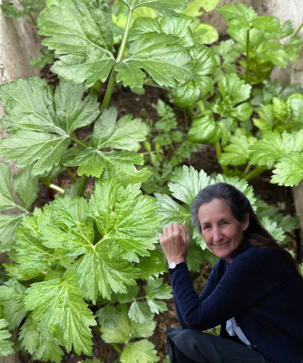 15 Health Benefits of Celery: A Superfood for Your Body