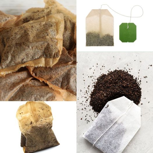 Unveiling the Unexpected Advantages of Used Tea Bags