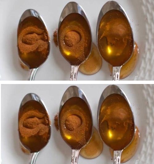 Unlocking the Healing Power of Honey and Cinnamon: Nature’s Time-Honored Elixir