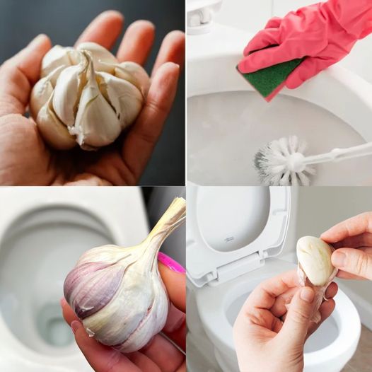 Exploring the Unexpected Advantages of Using Garlic for Toilet Cleaning