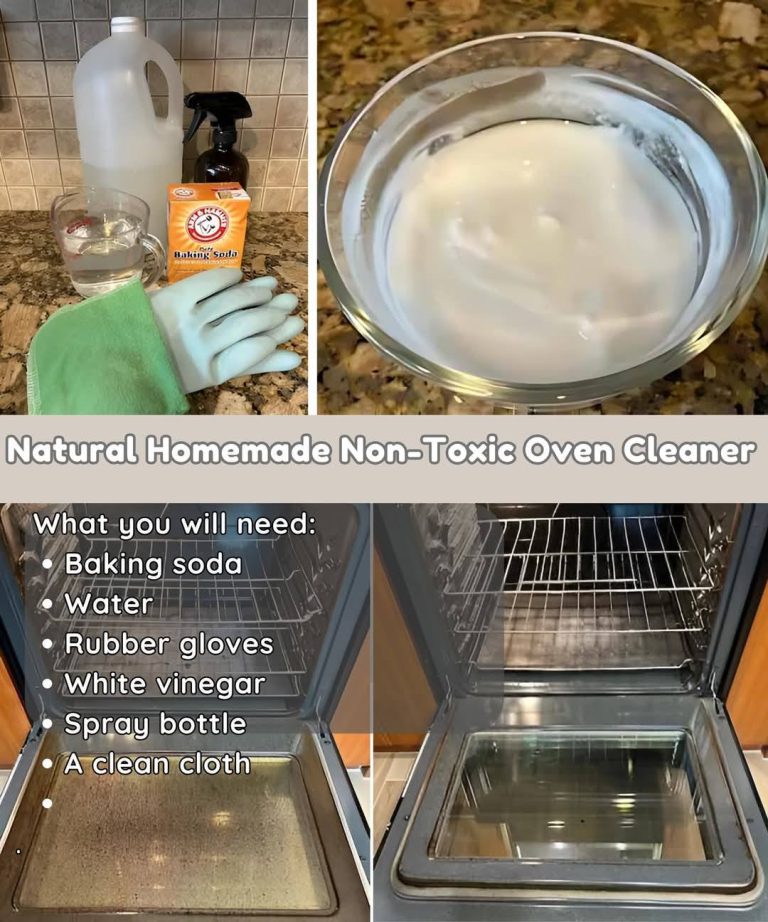 DIY: Non-Toxic Oven Cleaning