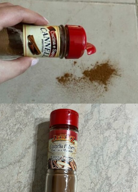 Cinnamon: A Surprising Solution for Ant Infestations