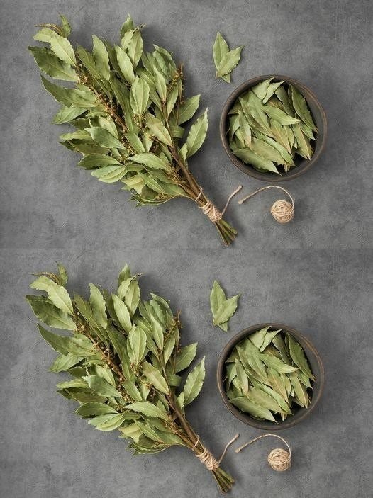 The Enchanting Ritual: Placing Bay Leaves Under Your Pillow