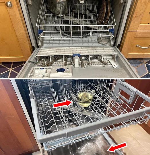 How to degrease, disinfect and perfume the dishwasher with the glass method