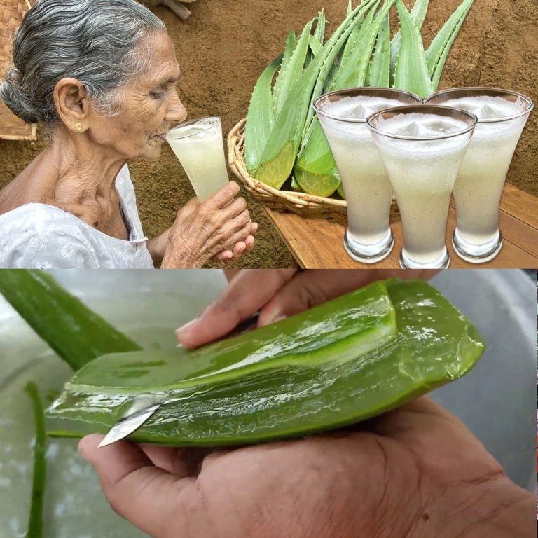 Aloe Vera Juice | Natural Aloe Vera Drink | Fresh Aloe Vera Juice by Grandma’s Menu