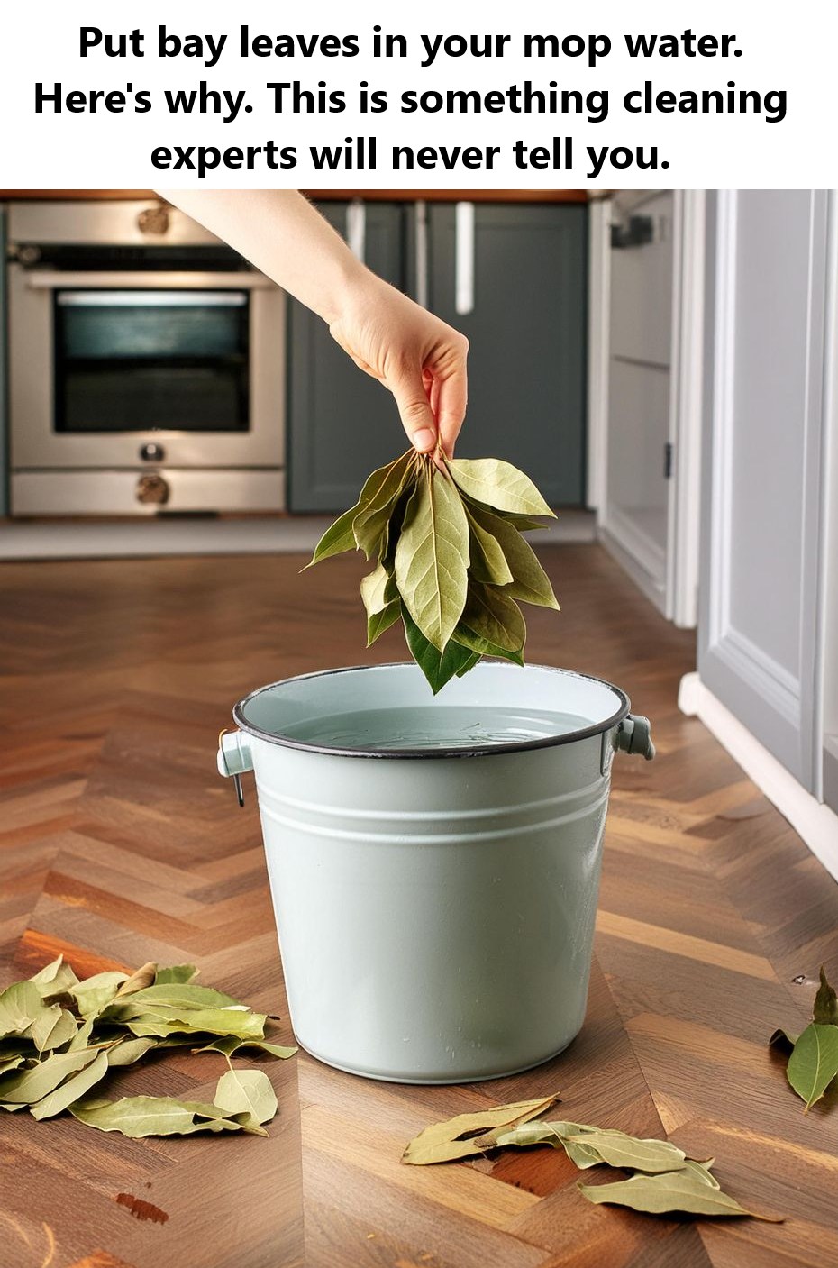 Put Bay Leaves in Your Mop Water. Here’s Why. This is Something Cleaning Experts Will Never Tell You