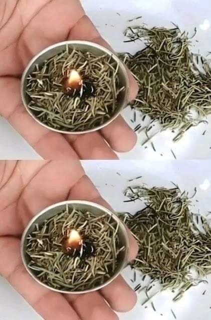 Try this at-home rosemary burner and see what occurs in a matter of minutes.