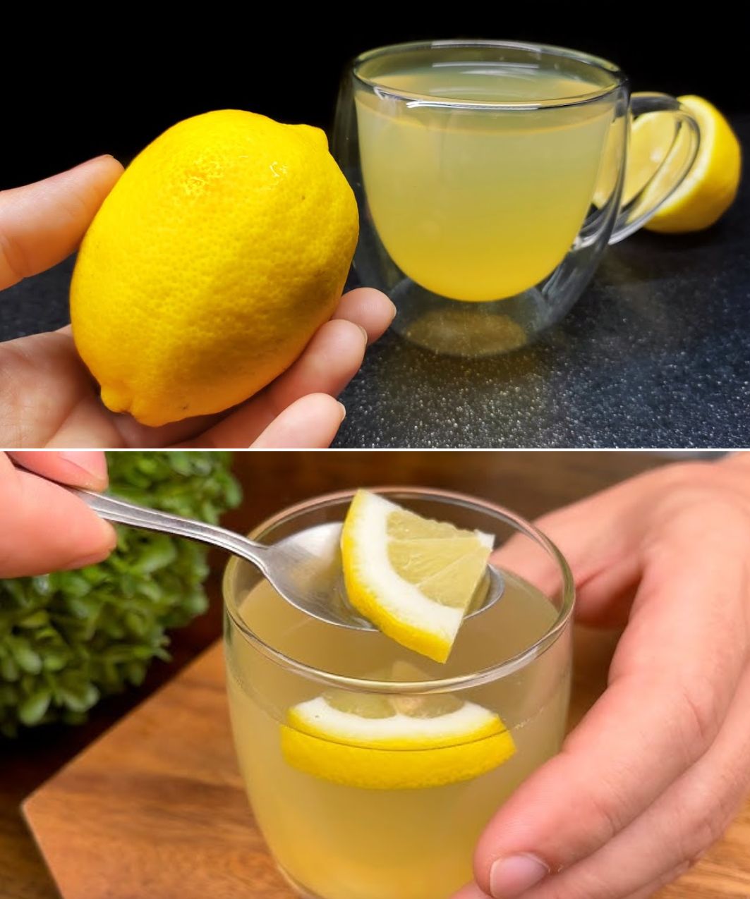 Lose Belly Fat in 7 Days with the Lemon Water Diet