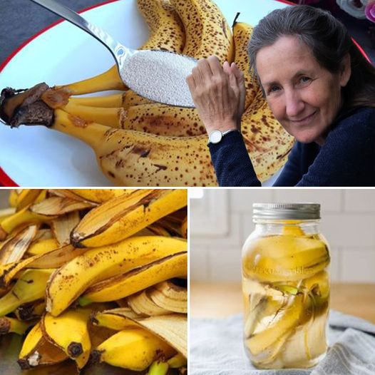 Don’t Throw Away Old Bananas: A Secret Recipe