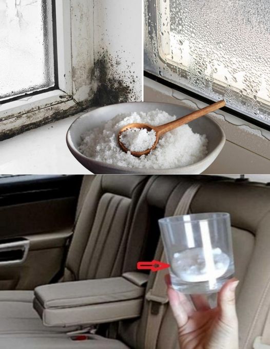 Put 1 glass of salt in the car, this solves a very common problem among motorists