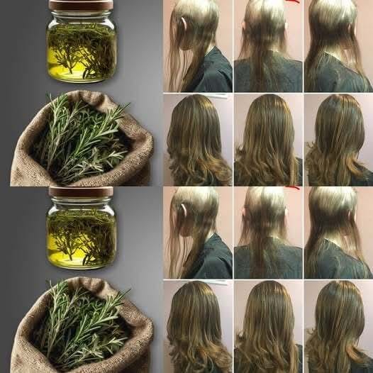 Rosemary Black Oil for Fast Hair Growth