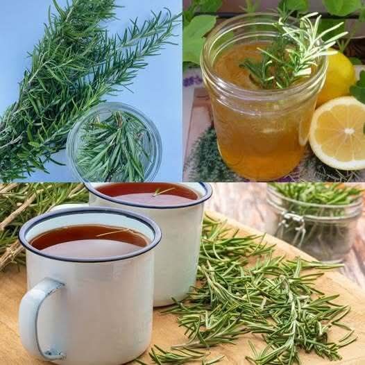 What Happens When You Drink Rosemary Tea for 15 Days?