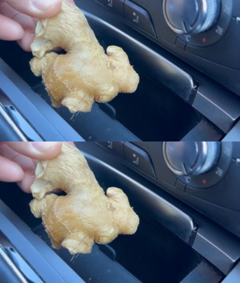 The Life-Saving Secret of Keeping Ginger in Your Car