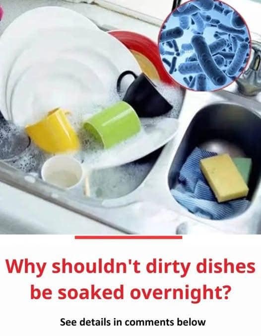 Why shouldn’t dirty dishes be soaked overnight?