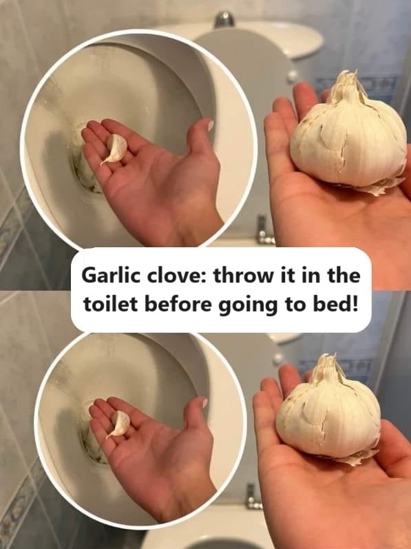 Garlic clove: throw it in the toilet before going to bed!