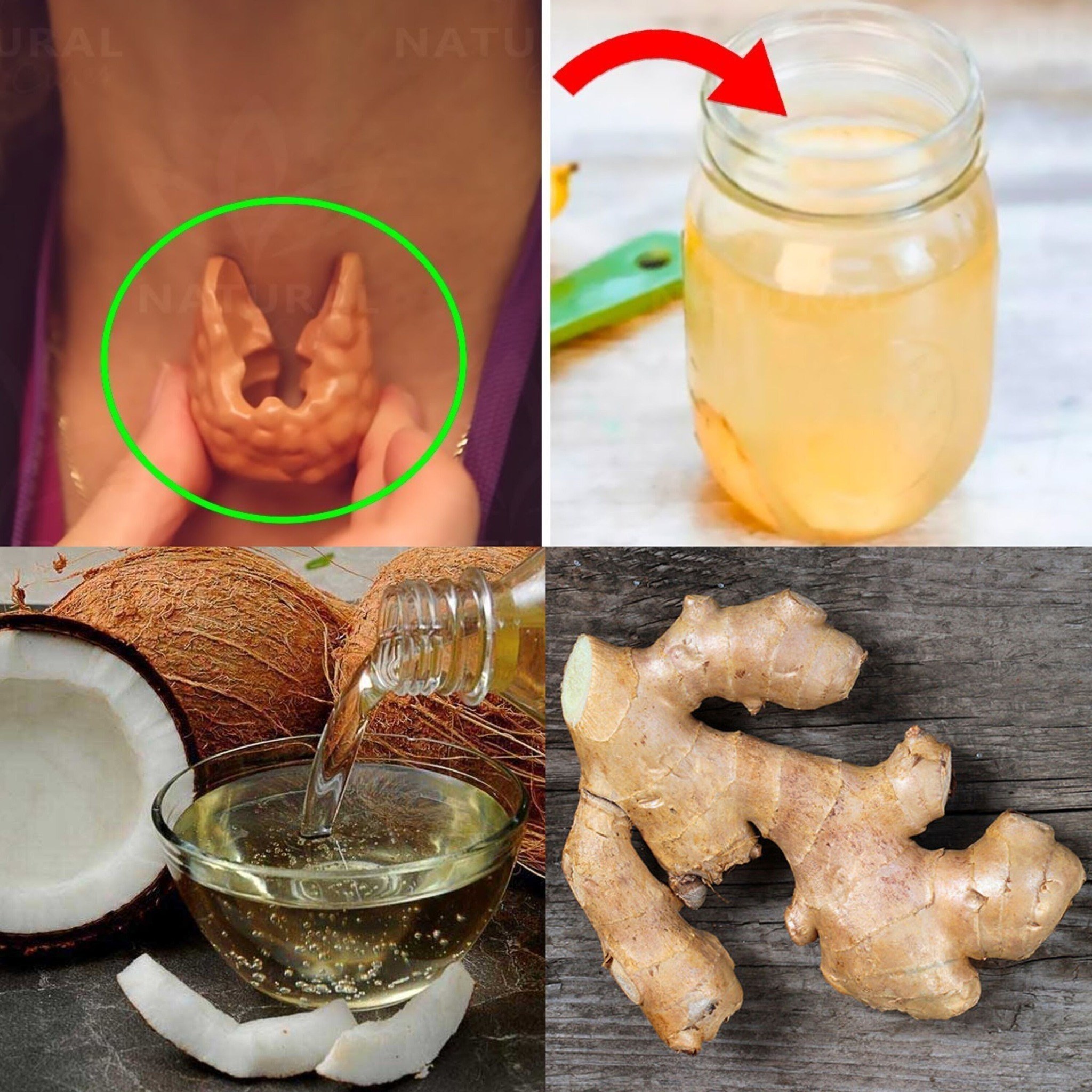 This Miraculous Drink Will Work Wonders for Your Thyroid: Ginger and Coconut Oil