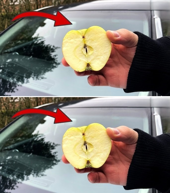 Ingenious Trick: Why You Should Rub an Apple on Your Car’s Windshield