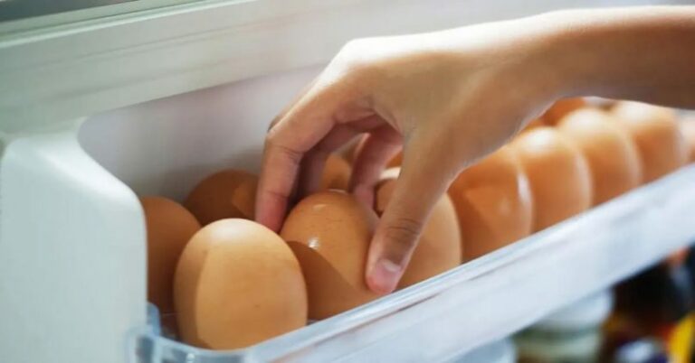 Why you should not store fresh eggs in the refrigerator?