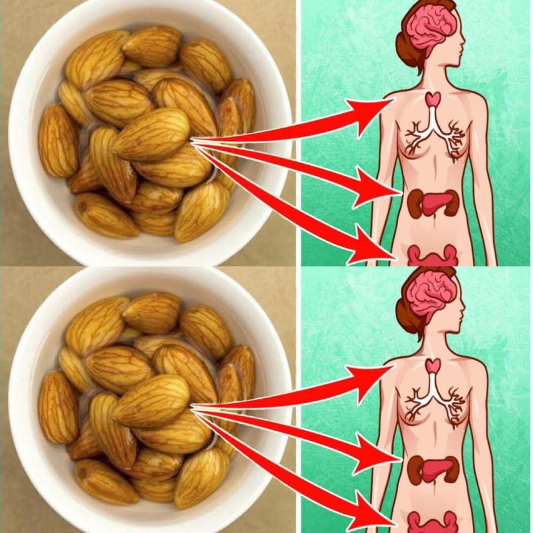 What Really Happens When You Eat Soaked Almonds Every Morning (Unbelievable!)