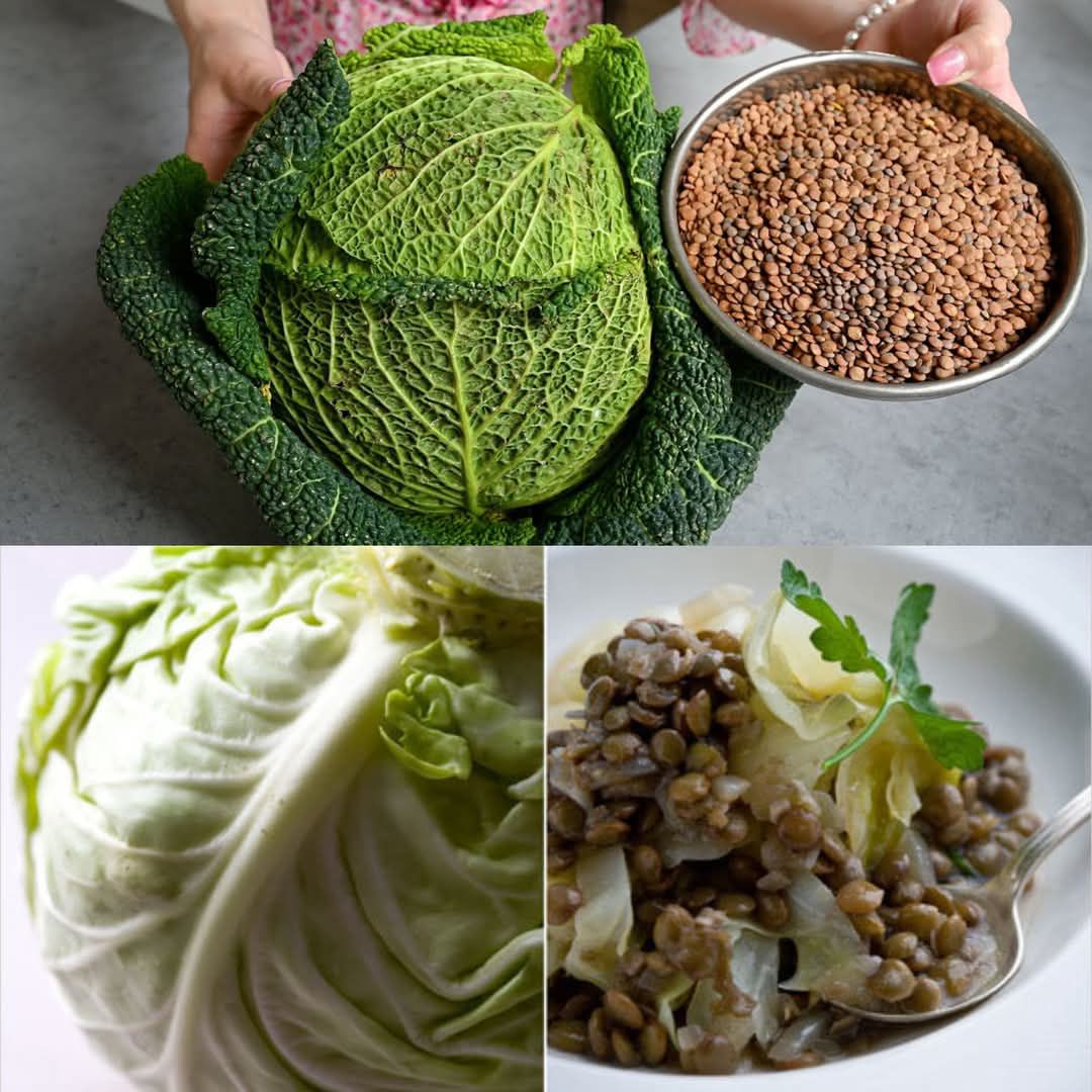 Lentils with Cabbage: A Nutritious and Delicious Meat Alternative