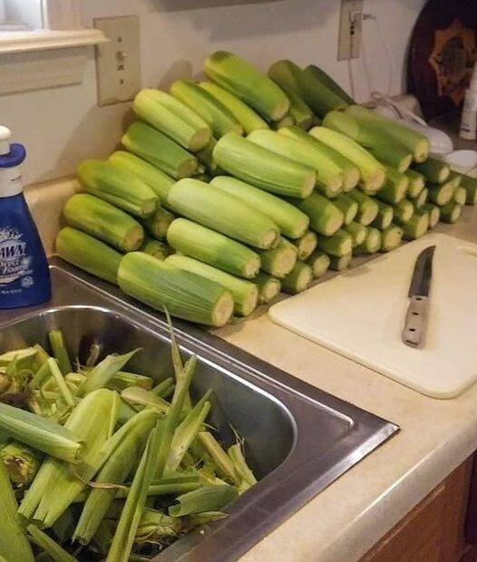 How To Properly Freeze Corn On The Cob