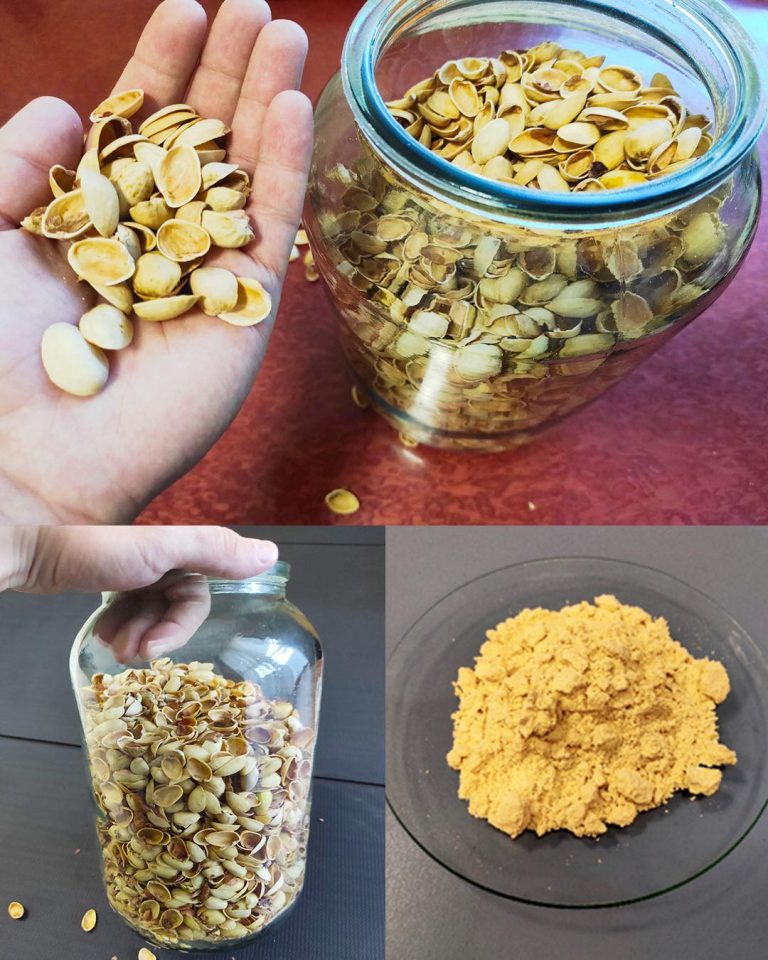 Reusing Pistachio Shells: How to Turn Them Into Powder and Use It in Your Garden