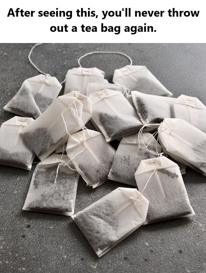 After seeing this, you’ll never throw out a tea bag again